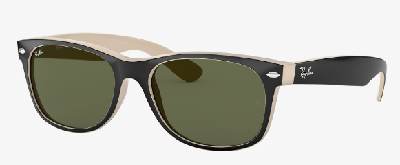 Raybans   (Copy)