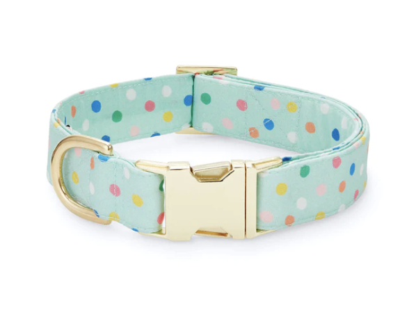 Fun Dog Collar (Copy)