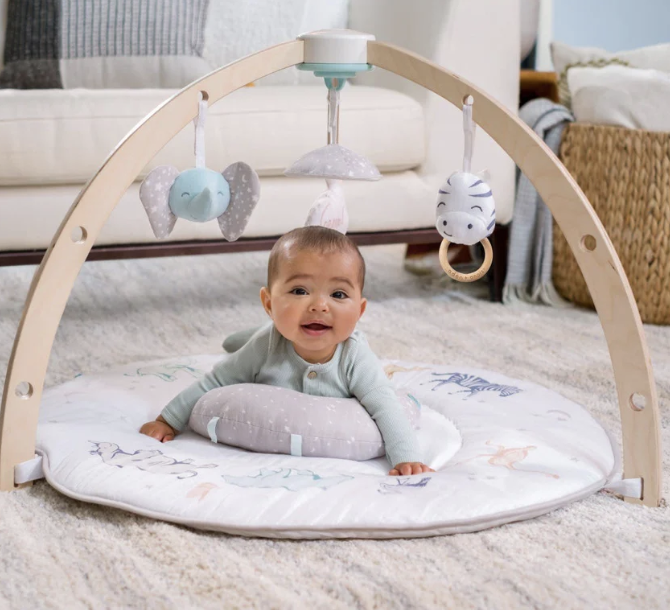Halo Baby Activity Gym