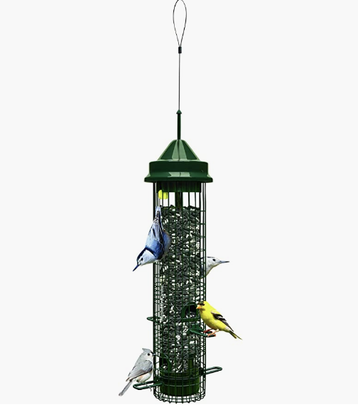 Squirrel Buster (Copy)