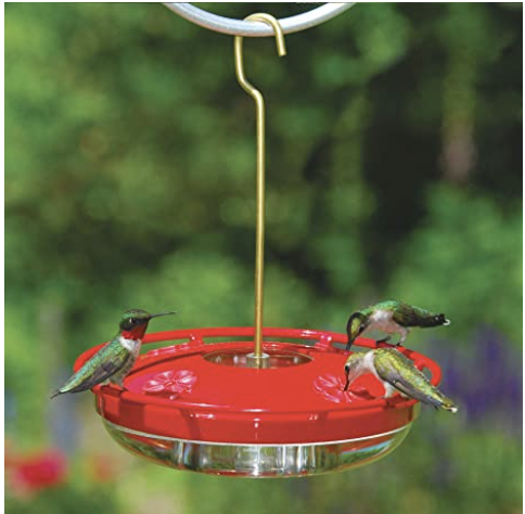 Hummingbird Feeder (Copy)