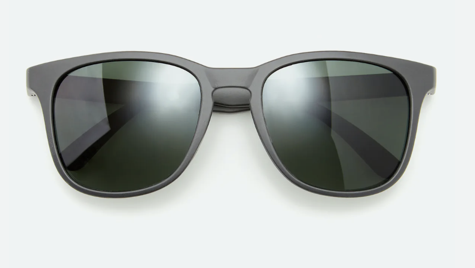 Inexpensive Polarized Shades (Copy)