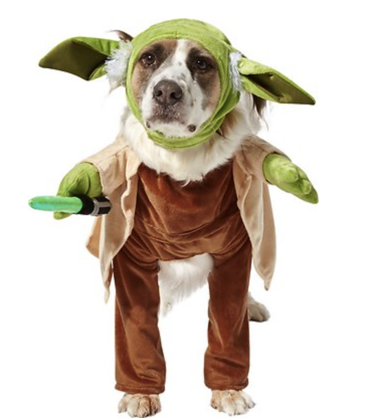 Yoda Dog Costume (Copy)