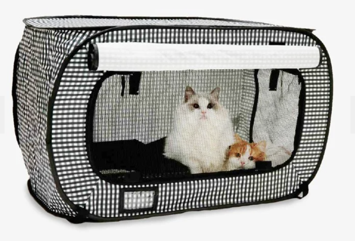Collapsible Cat Crate (Copy)