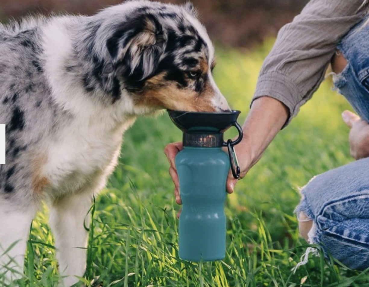 Dog Bowl Water Bottle (Copy)