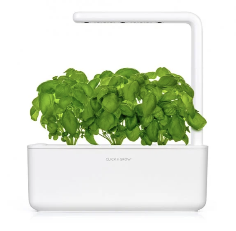 Herb Garden (Copy)