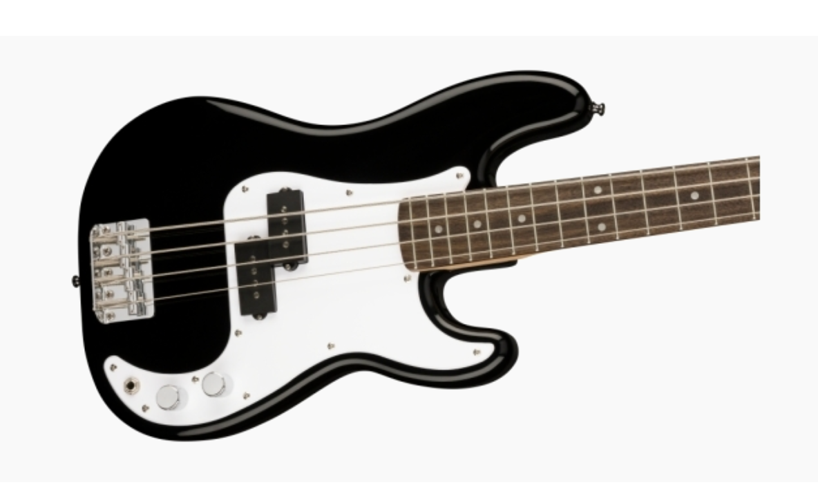 Fender Guitar and/or Online Lessons (Copy)