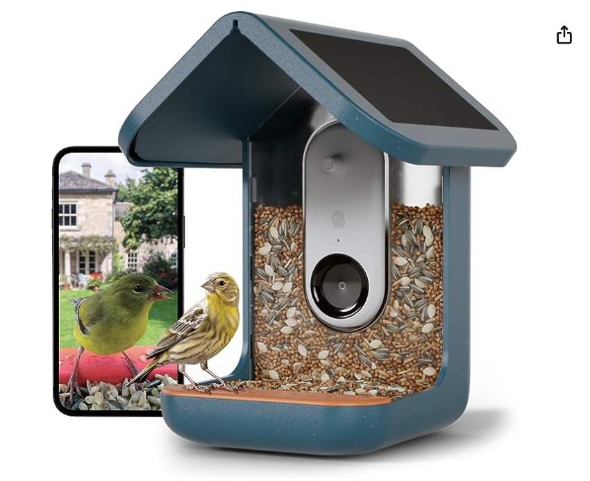 Bird Buddy