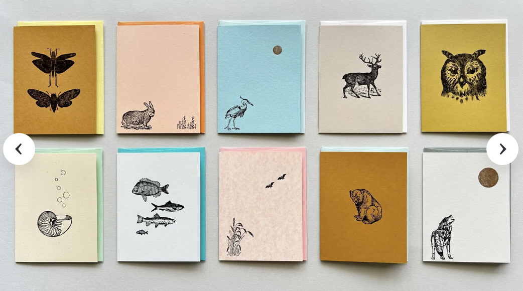 Nature Wonders Card 10 Pack