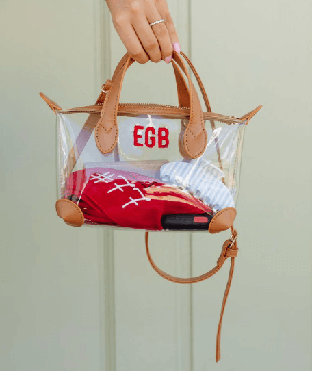 Mini Clear Crossbody