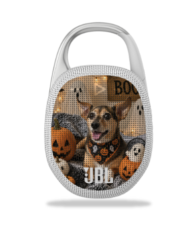 JBL Speaker