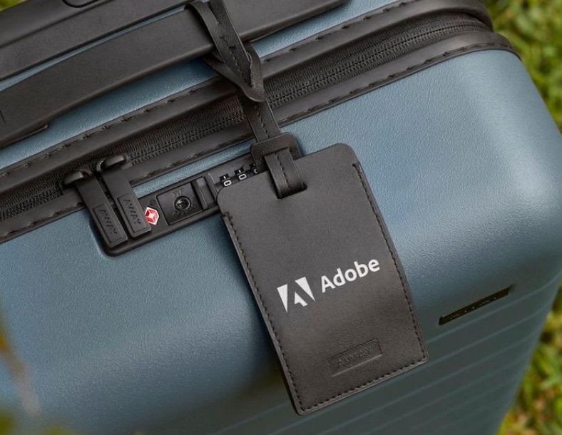 Away Printed Luggage 
