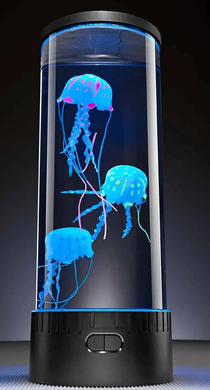 Jellyfish Aquarium
