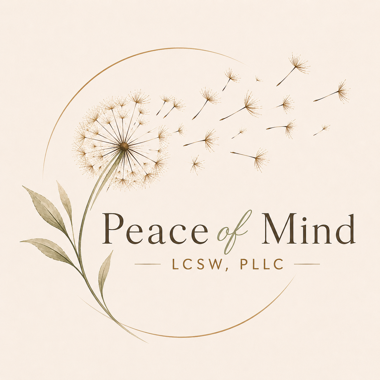 Peace of Mind LCSW, PLLC