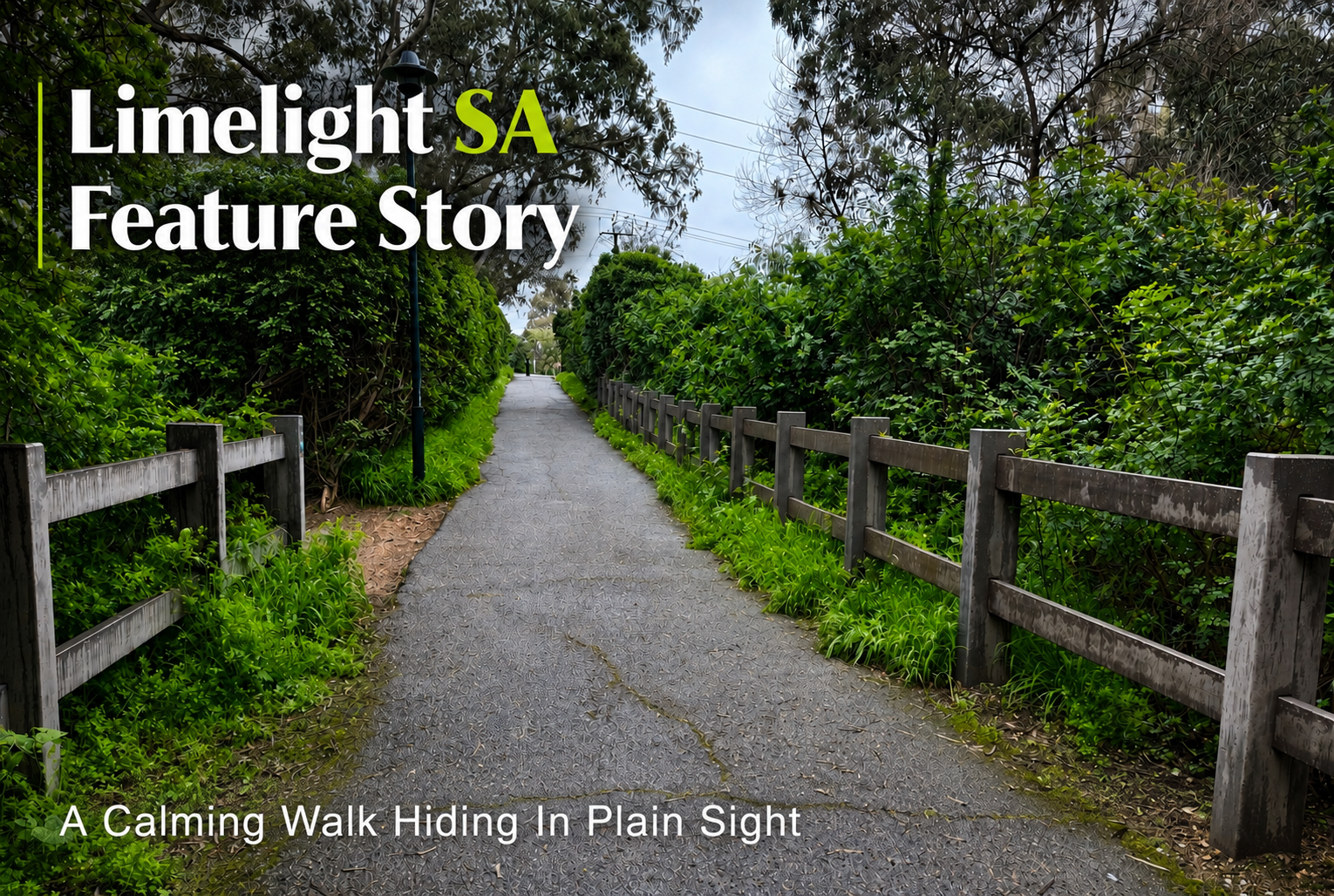 A Calming Walk Hiding in Plain Sight