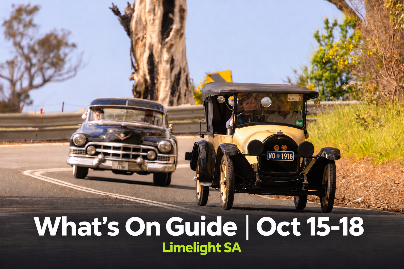 What’s On Guide