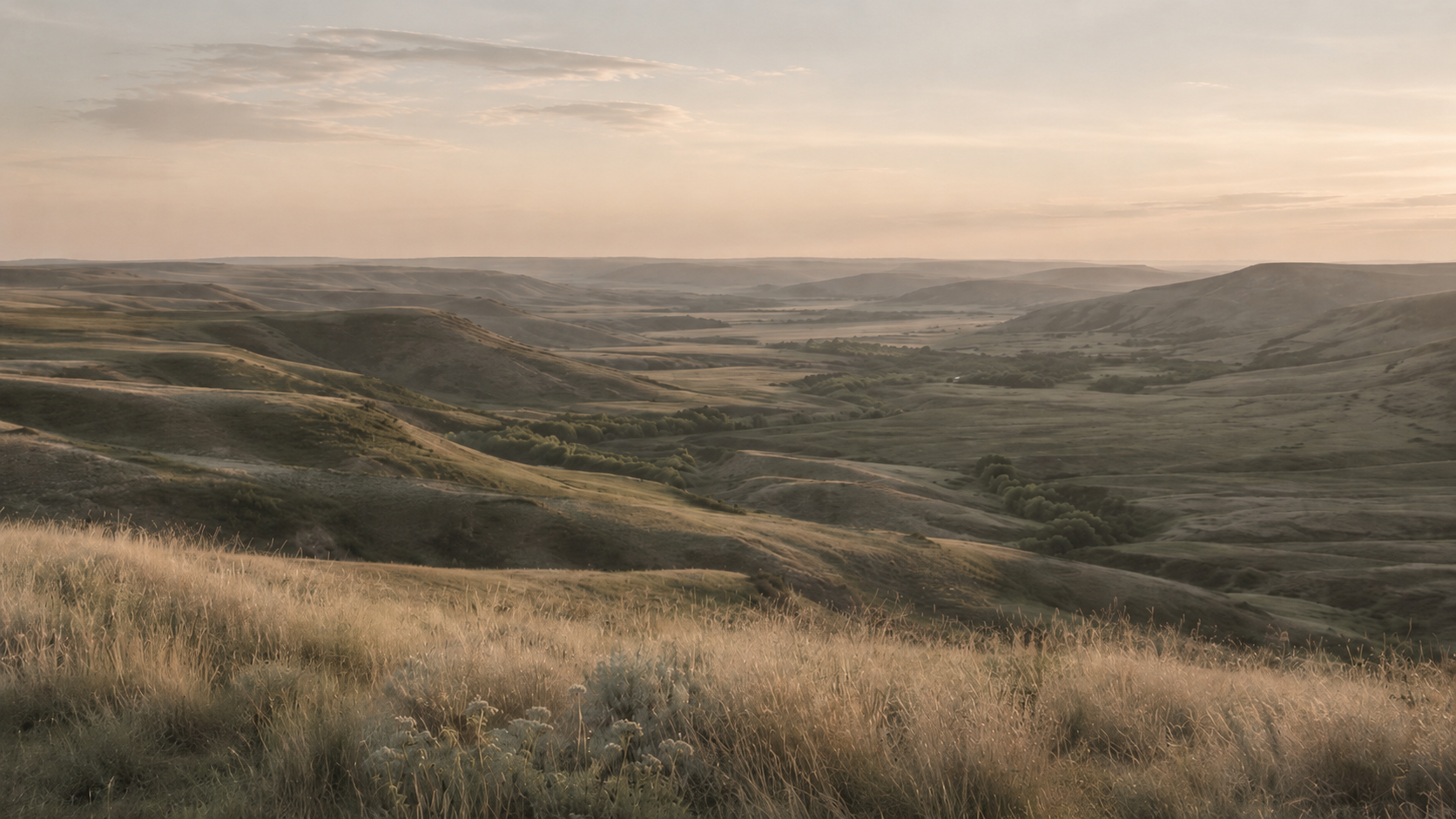 Scenic view of rolling hills and valleys under a cloudy sky, with grasses in the foreground.