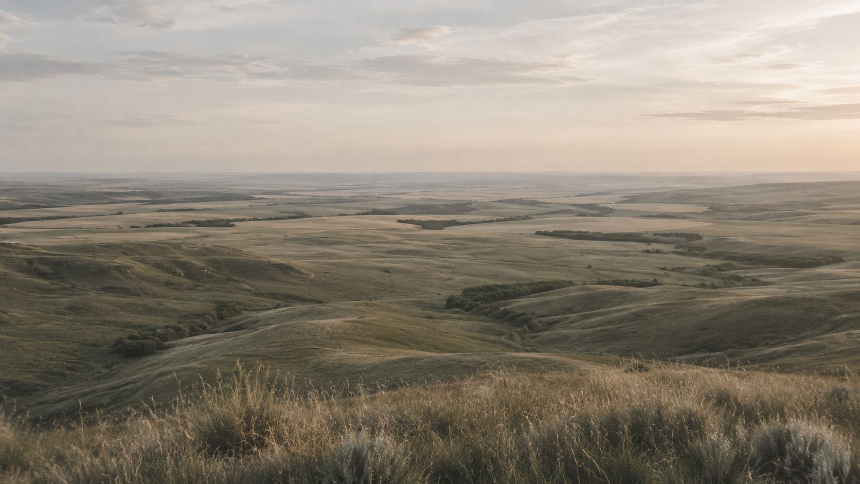 A vast landscape of rolling green hills and plains under a cloudy sky, with some shrubbery and tall grass in the foreground.