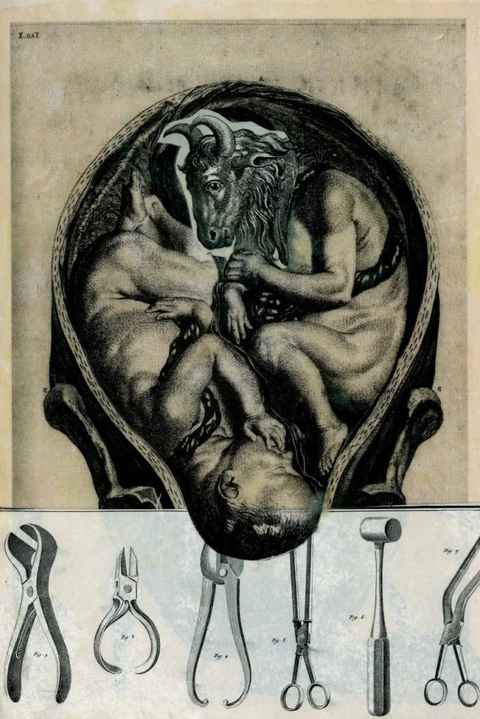Tasha Lewis: The Art of the Page A Visual Edition of Joyce’s Ulysses