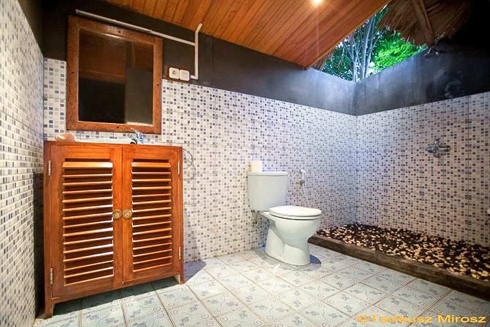 A bathroom in a resort house. With a water-closet, shower, cupboard and a mirror. With wooden sealing and a cut through.