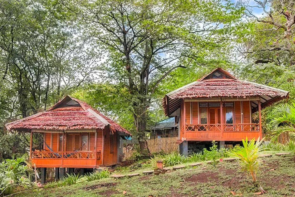 Two houses in a diving resort with a tree in between.