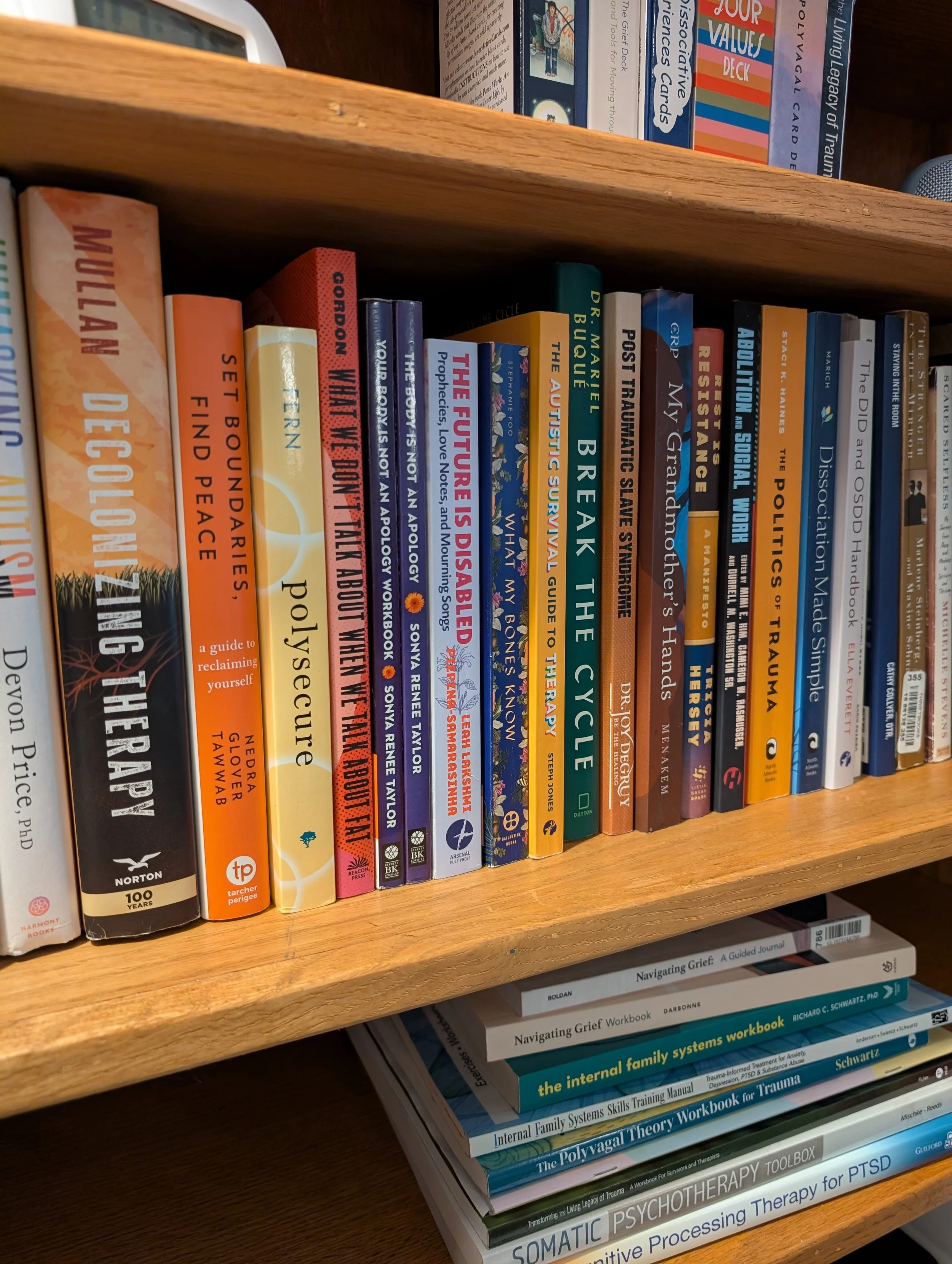A row of books on a bookshelf from a variety of BIPOC, Queer, Disabled, and other writers