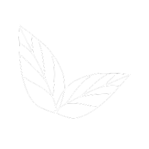 Outline drawing of two leaves on a black background.