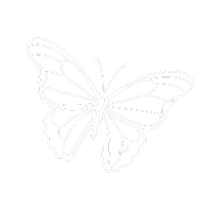Outline drawing of a butterfly with detailed wing patterns on a black background.