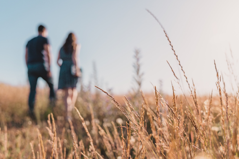 A couple walking through a sunlit field with tall grass and wildflowers, blurred background.