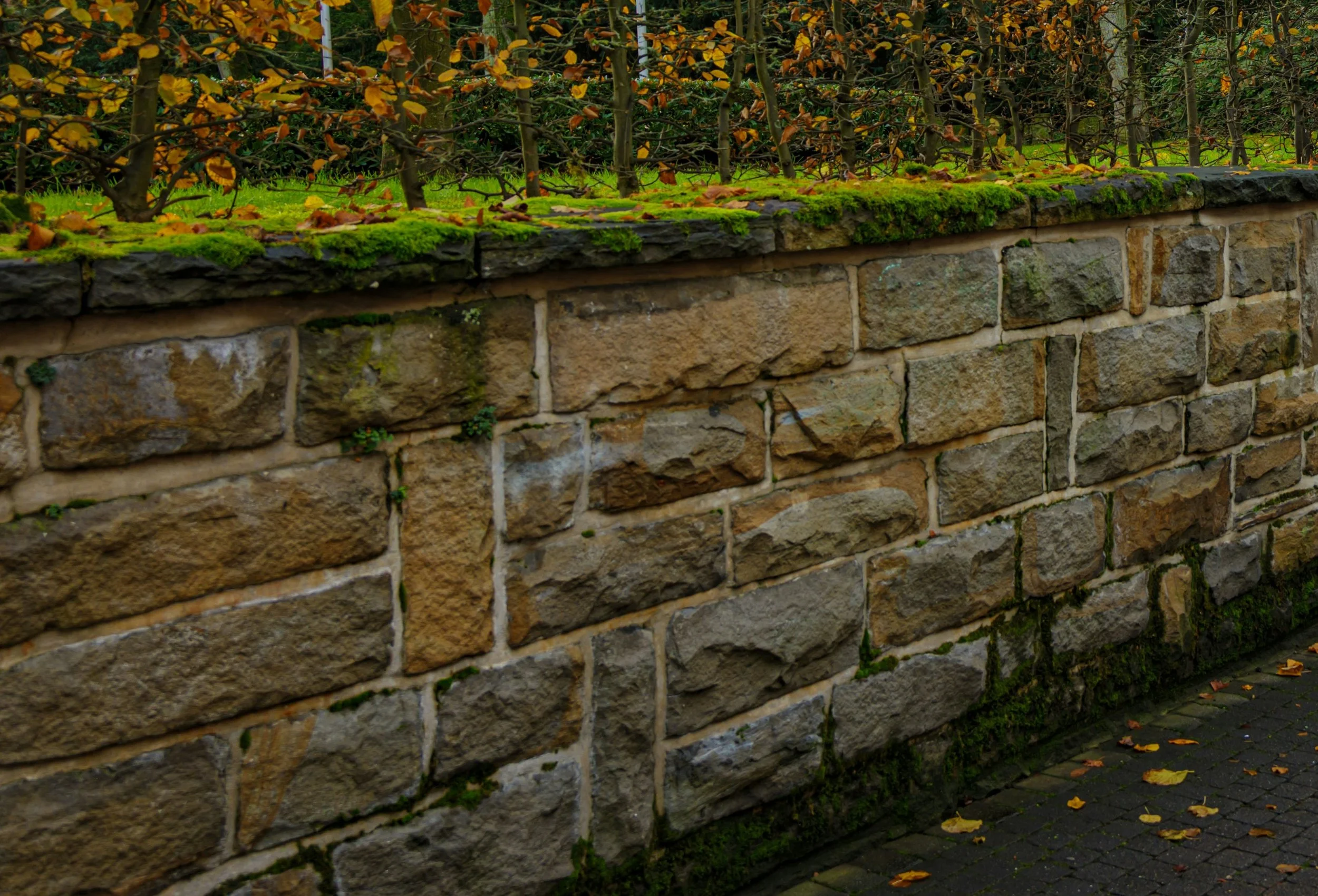 Repointing brickwork garden wall