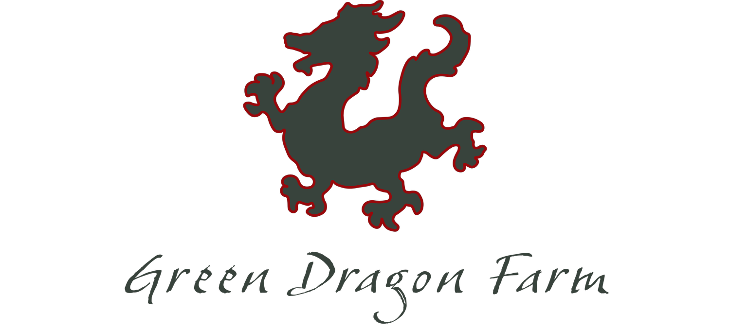 Green Dragon Farm - Pick Your Own Blueberries