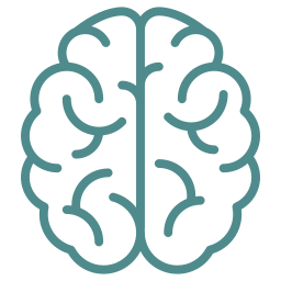 Illustration of a human brain in teal outline on a white background.