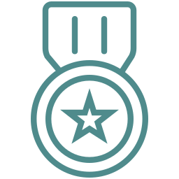 Medal with a star in the center and a ribbon above