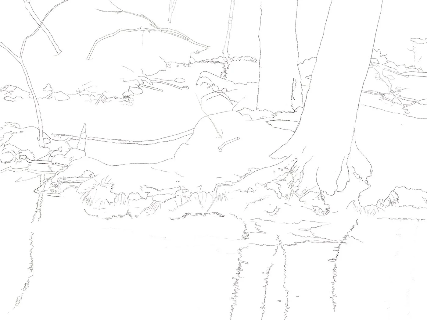 Drawing