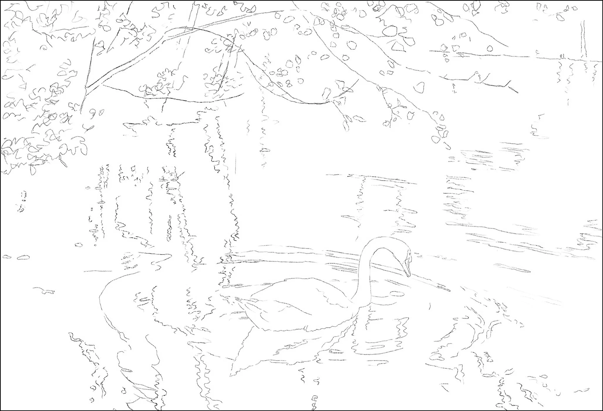 Drawing