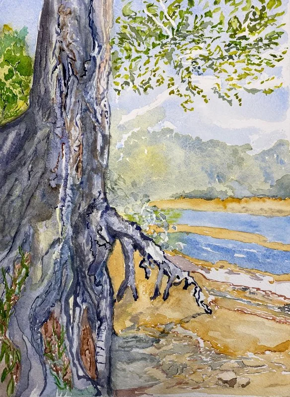 Joseph Napolitano, "Dead Tree," Watercolor on Paper
