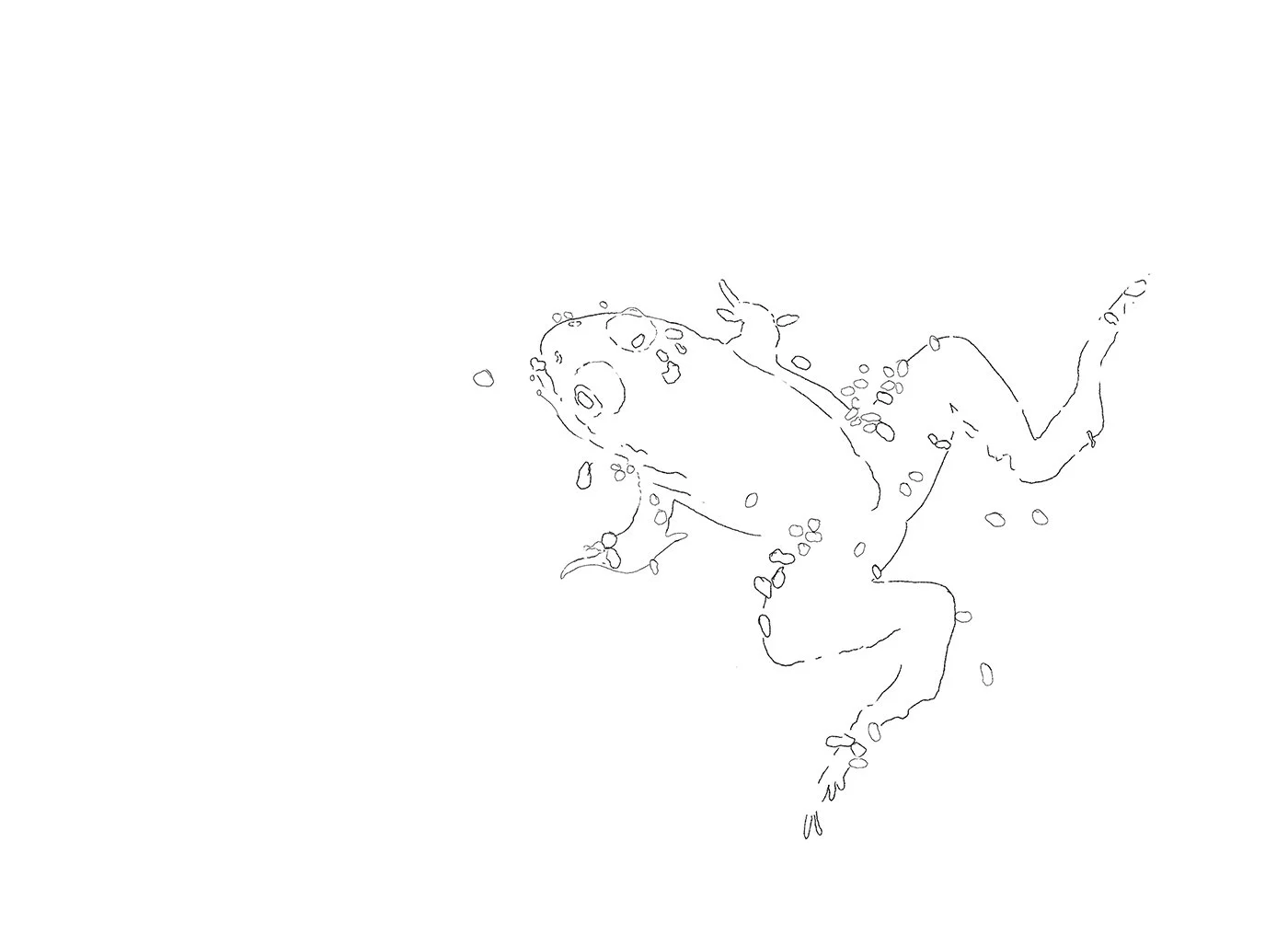 Drawing