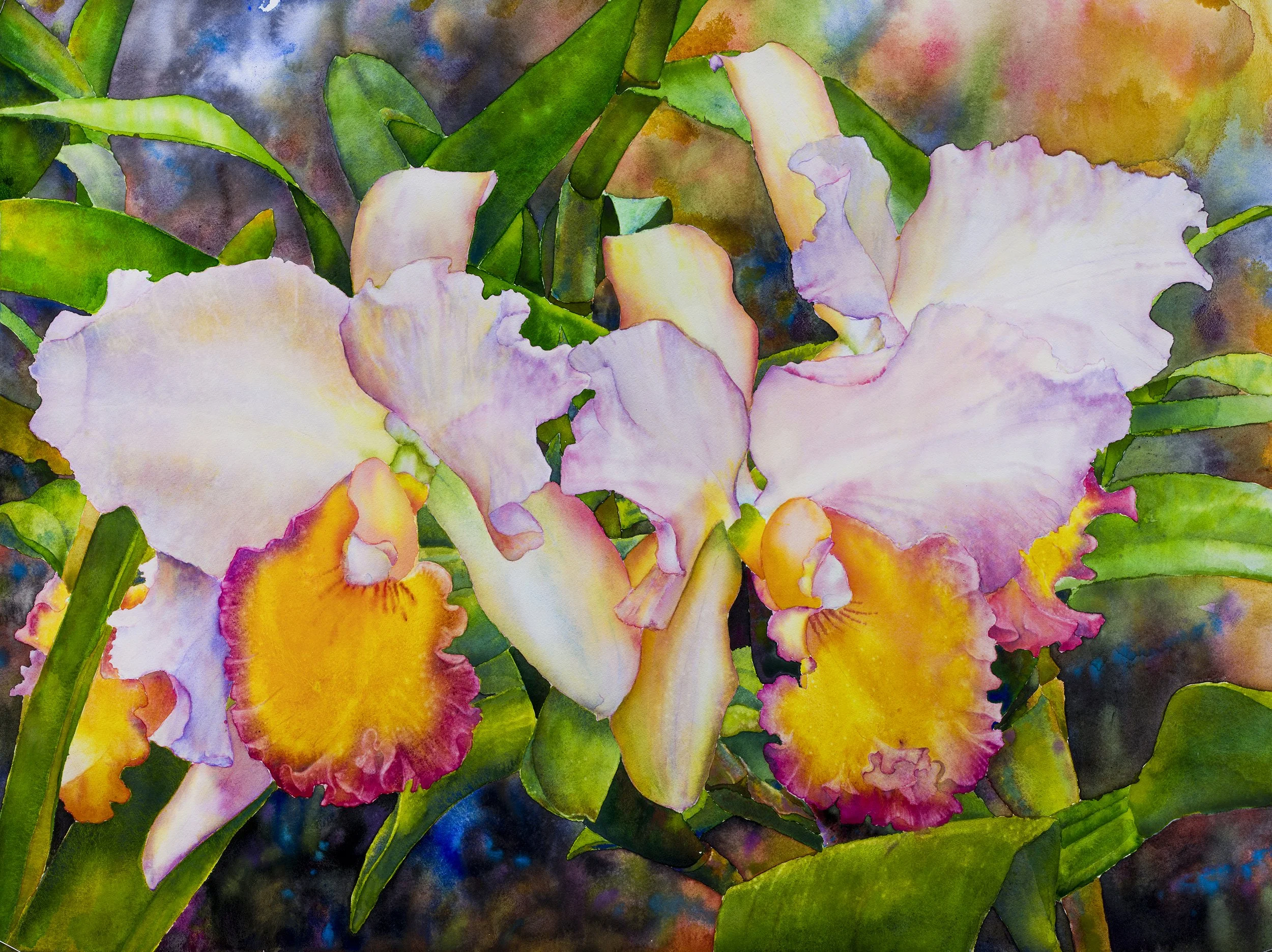Ross Barbera, "Orchids," Watercolor on Paper, 30" x 40"