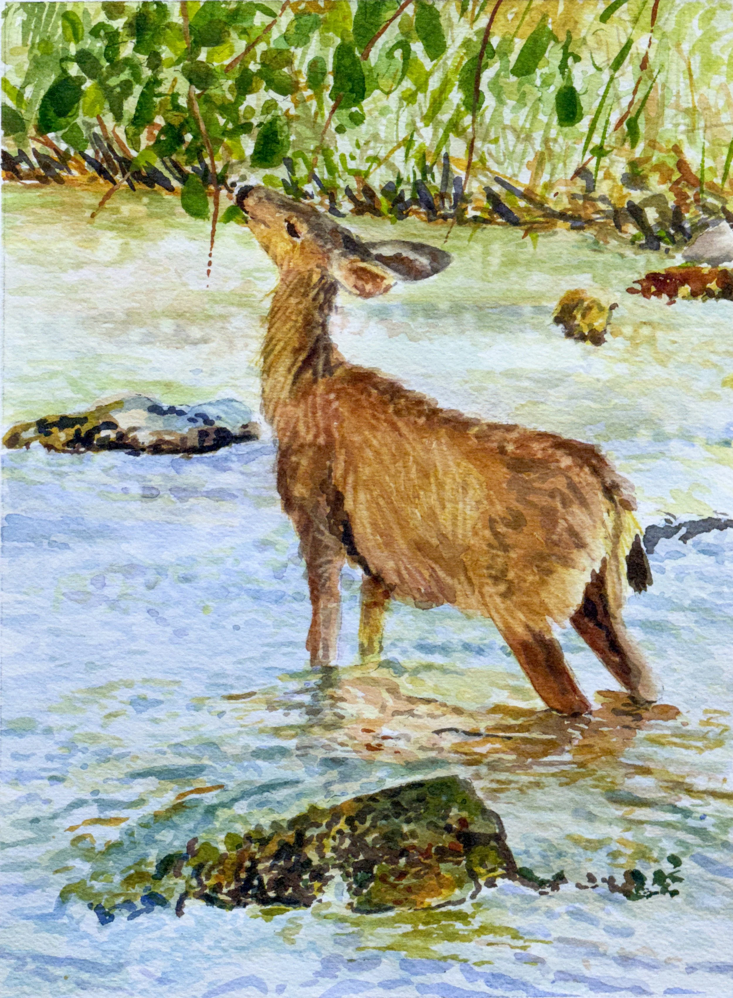 "Avalon: Autumn Light," Ross Barbera, Acrylic on Canvas, 48" x 32"