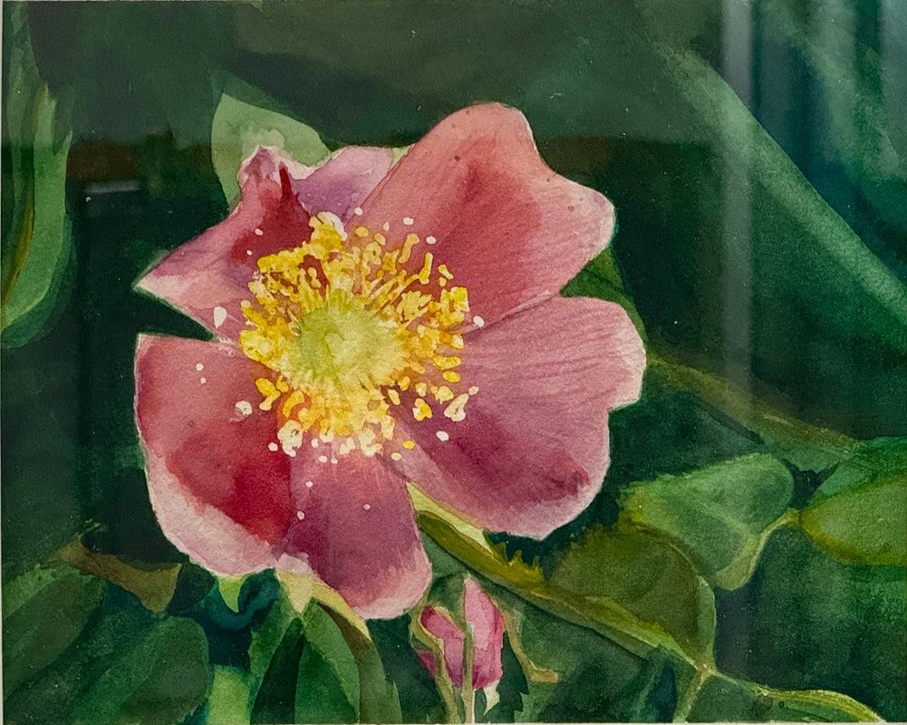 Mikey Ilkiw, "Rose on Green," Watercolor on Paper