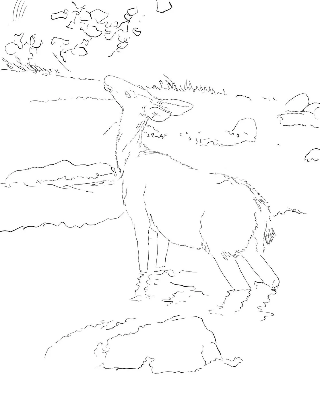Drawing