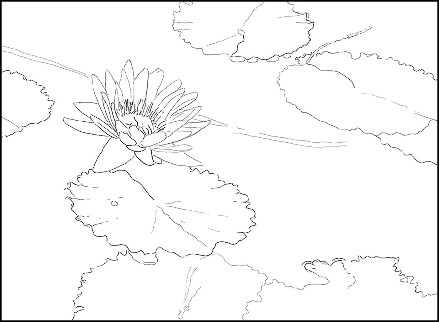Drawing