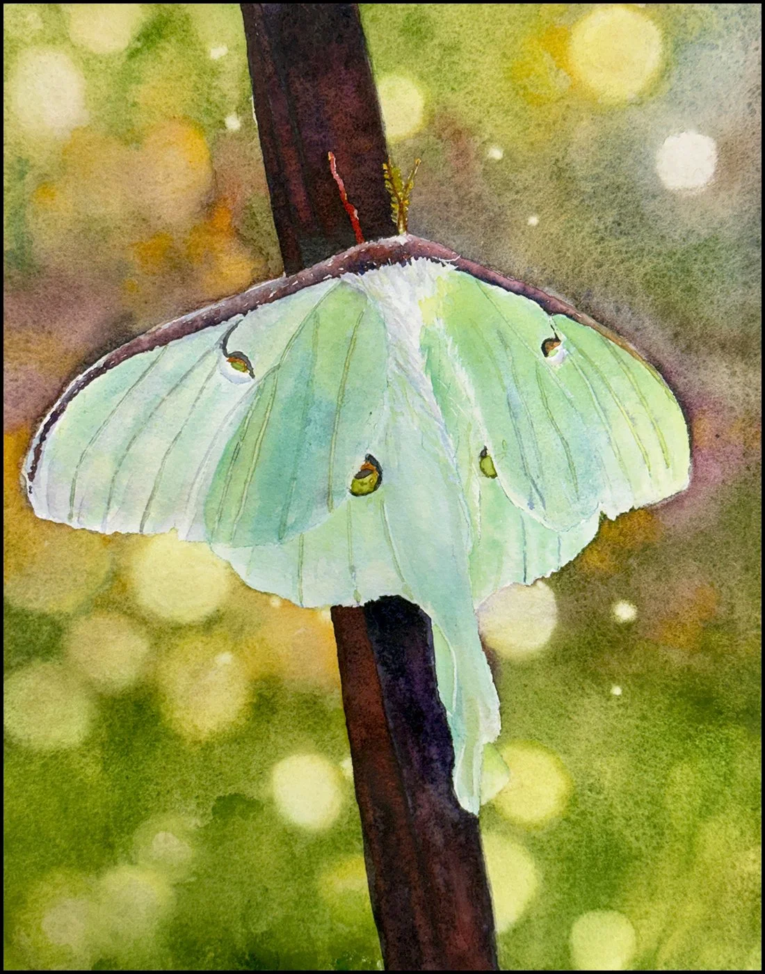 Finished Watercolor Painting