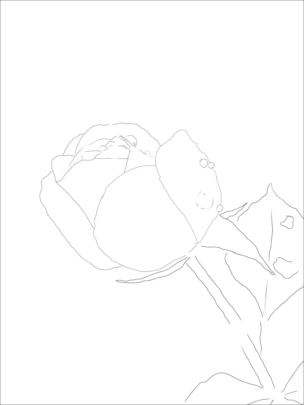 Drawing