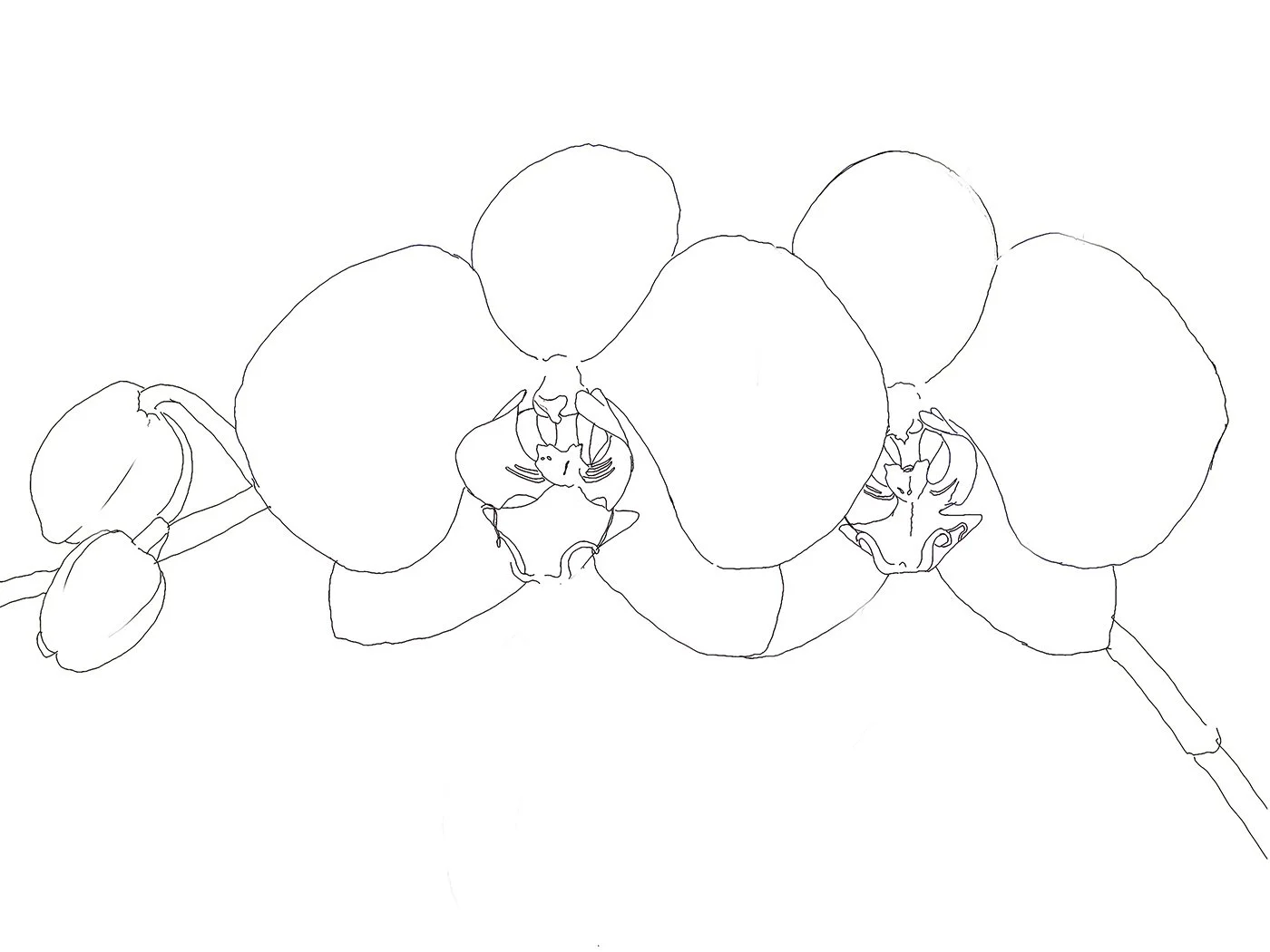 Drawing