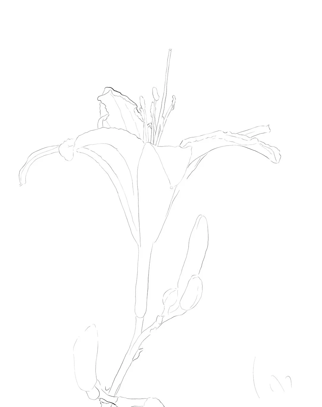 Drawing