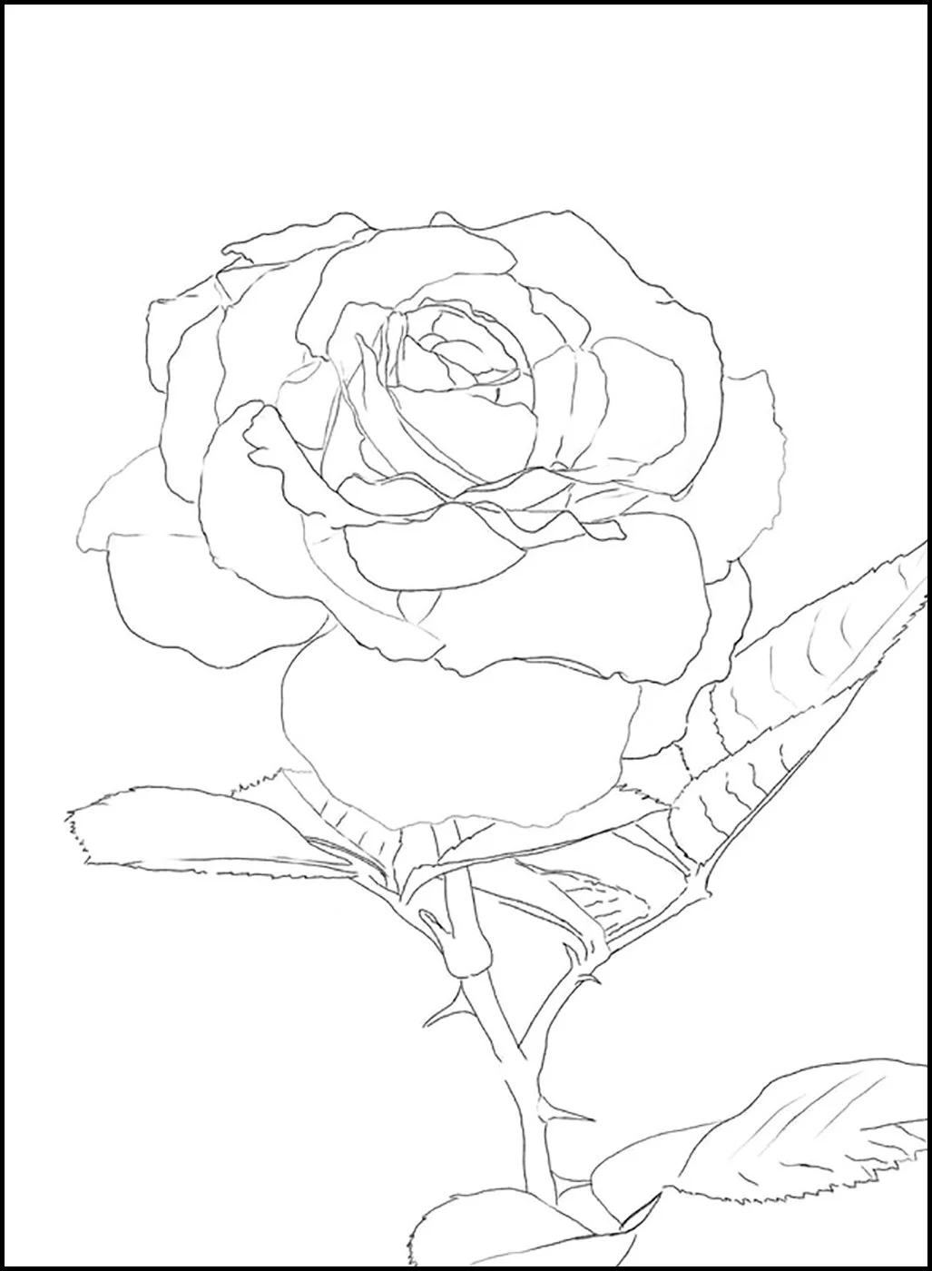Drawing