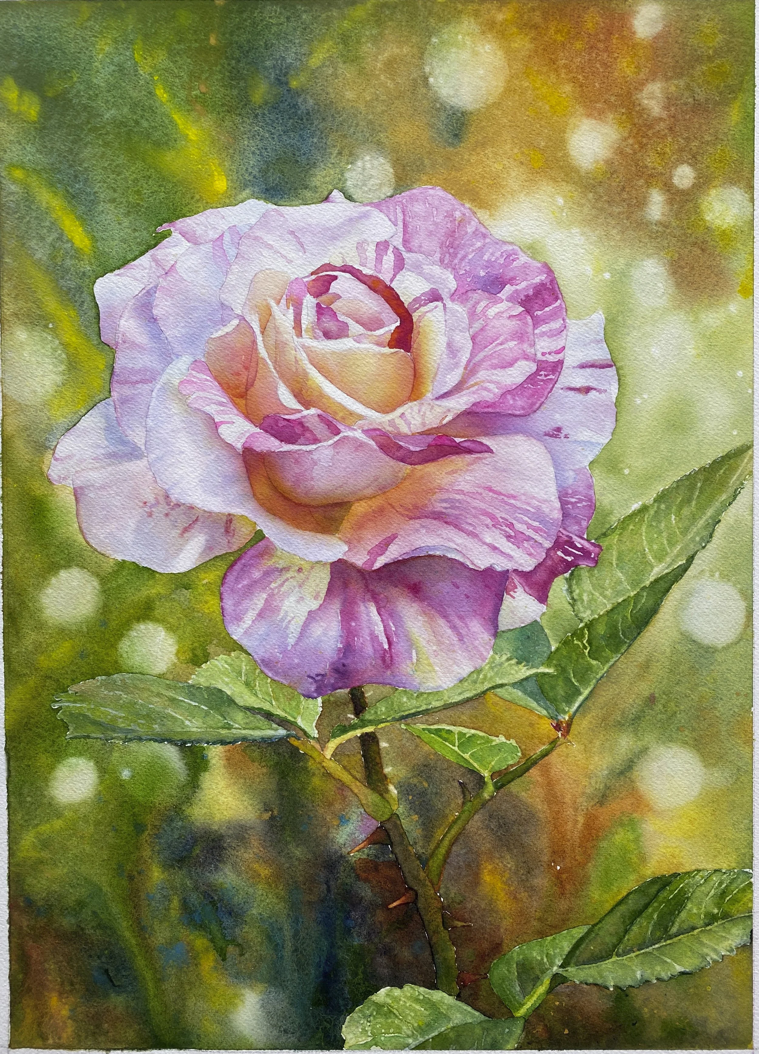 "Hybrid Tea Rose," Watercolor on Paper