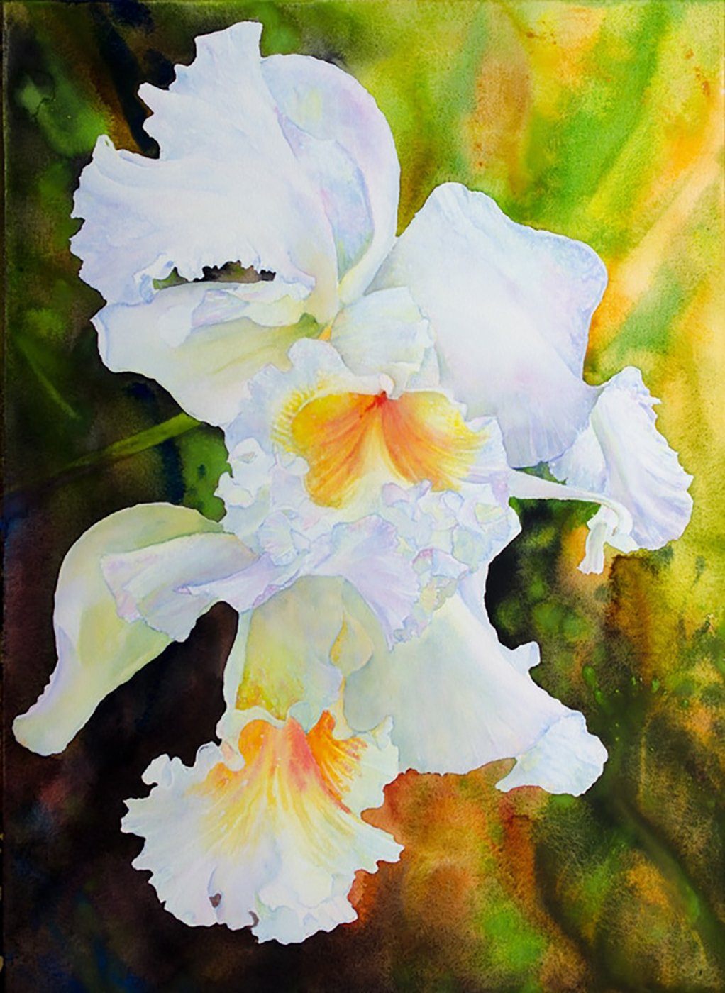 "White Cattleya Orchids, Watercolor Mounted on Canvas, 