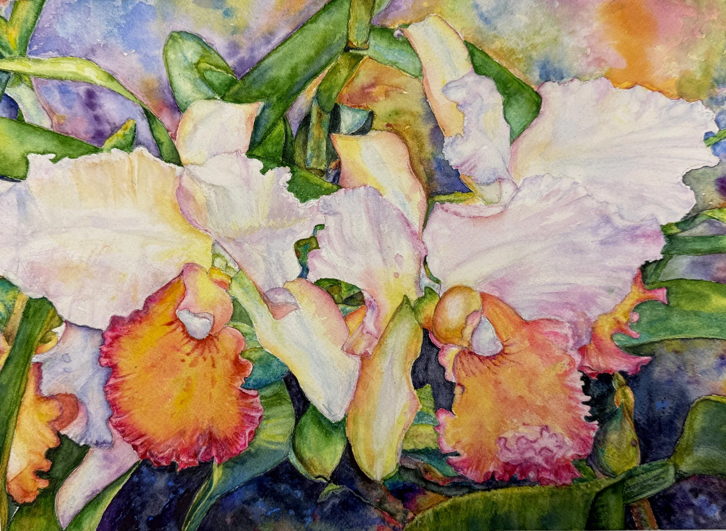 Jean Daniels, "Cattleya Orchid Duet," Watercolor on Paper